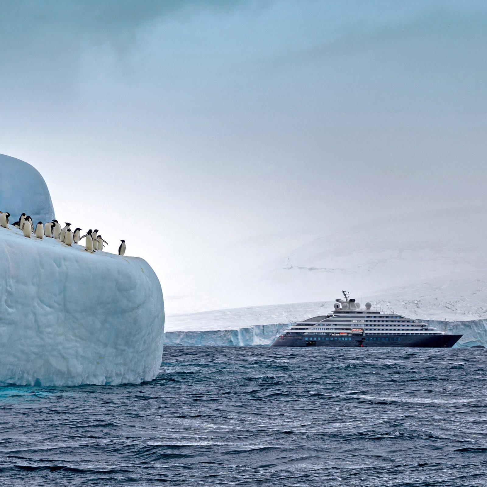 Onboard Obsession: Exploring Antarctica by Helicopter Aboard the Scenic Eclipse Expedition Ship